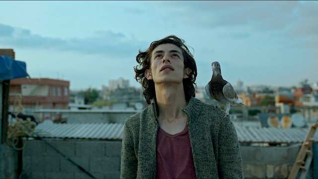GÜVERCIN (The Pigeon), Türkei 2018, R: Banu Sivaci