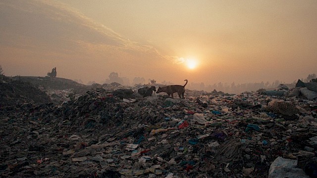 PLASTIC FANTASTIC